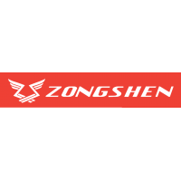 Запчасти для бензогенераторов Zongshen купить с доставкой по России 